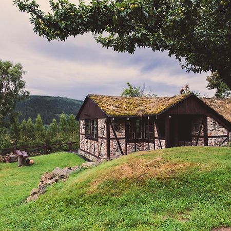Willa Aleksander Panorama Świeradów-Zdrój Exteriör bild