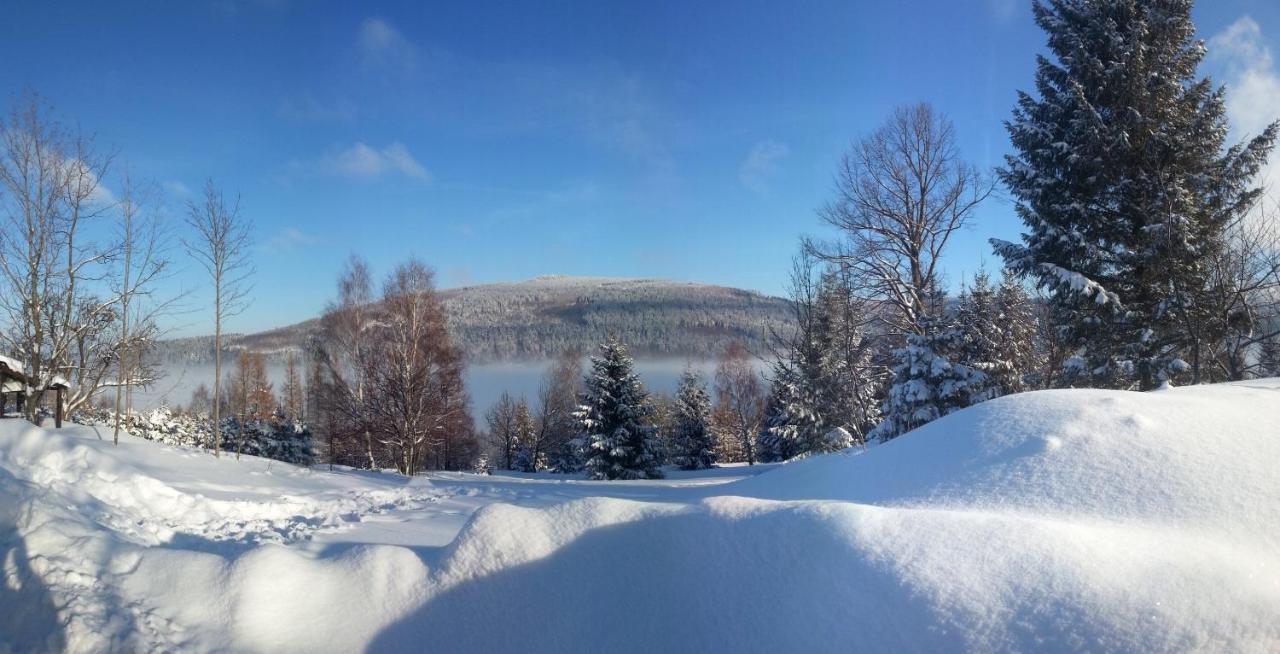 Willa Aleksander Panorama Świeradów-Zdrój Exteriör bild