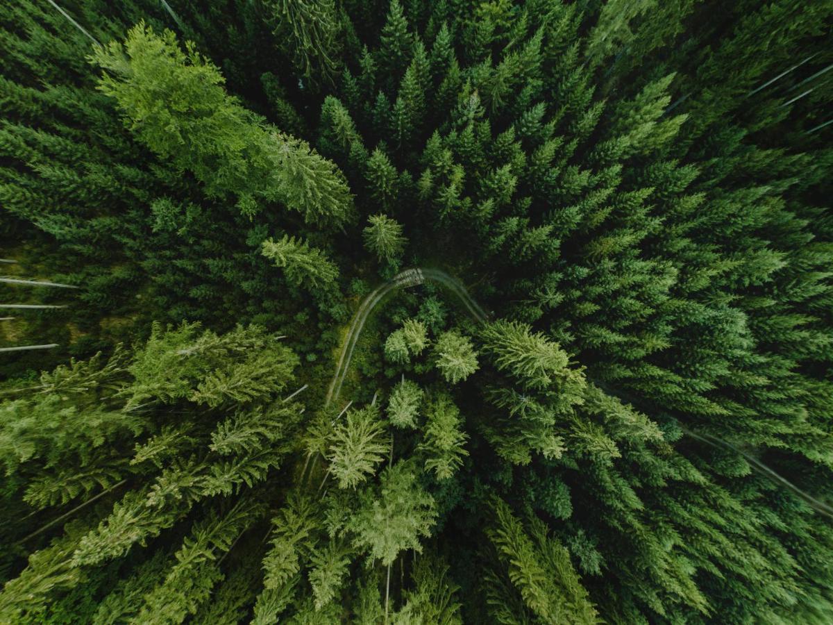 Willa Aleksander Panorama Świeradów-Zdrój Exteriör bild