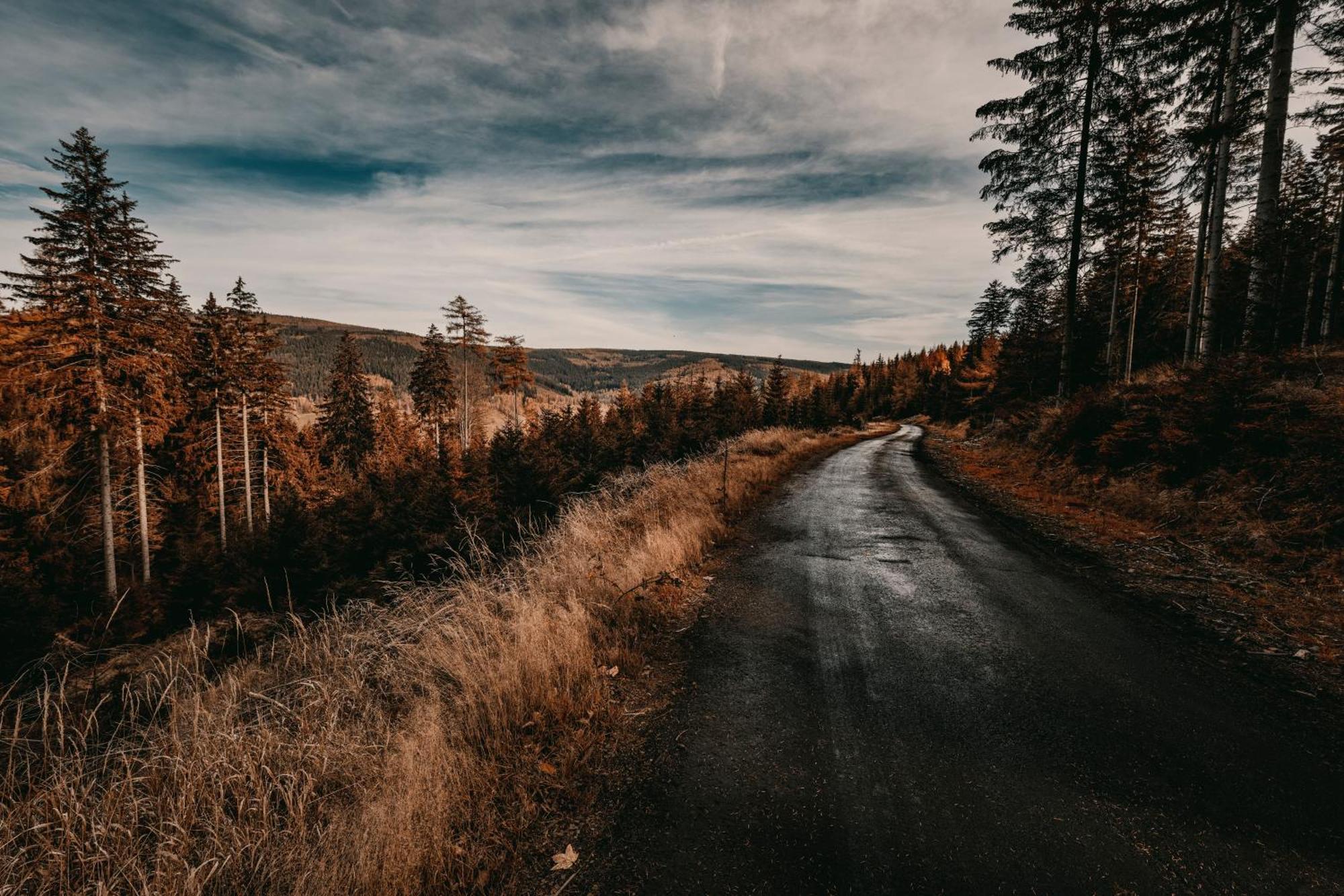 Willa Aleksander Panorama Świeradów-Zdrój Exteriör bild