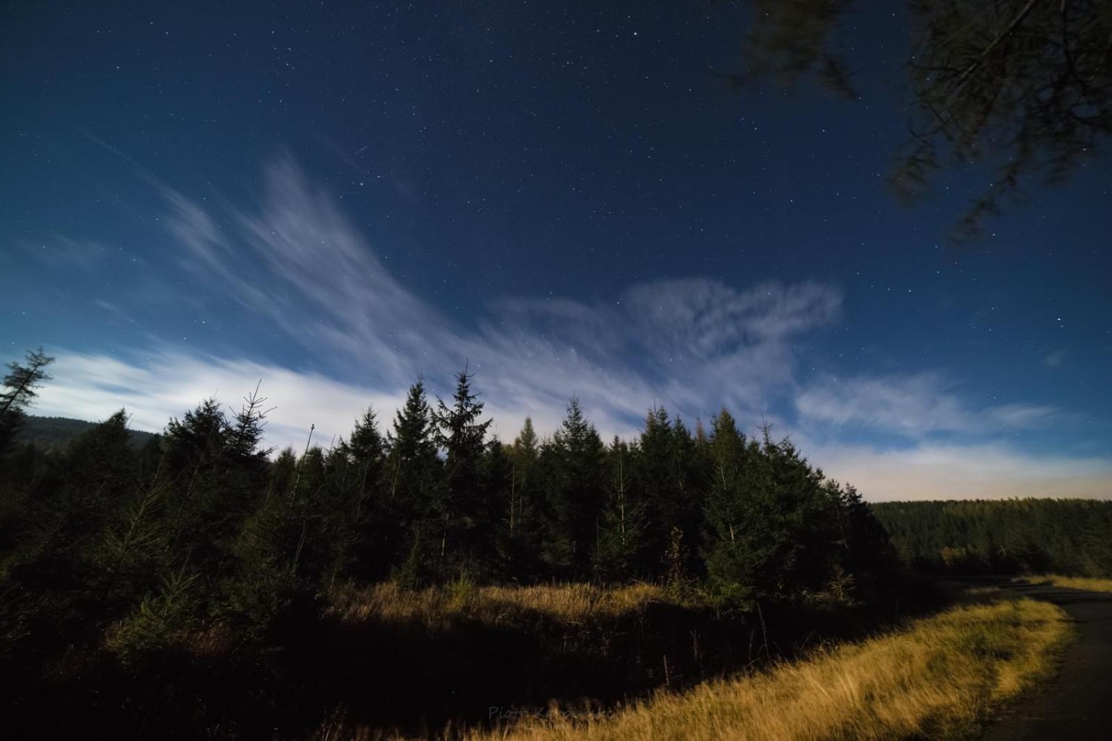 Willa Aleksander Panorama Świeradów-Zdrój Exteriör bild