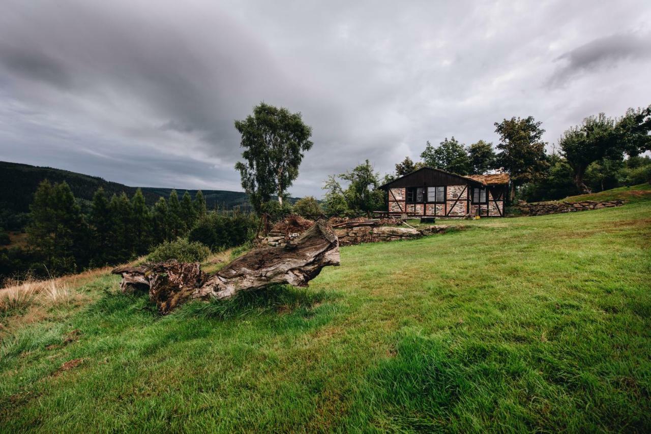 Willa Aleksander Panorama Świeradów-Zdrój Exteriör bild