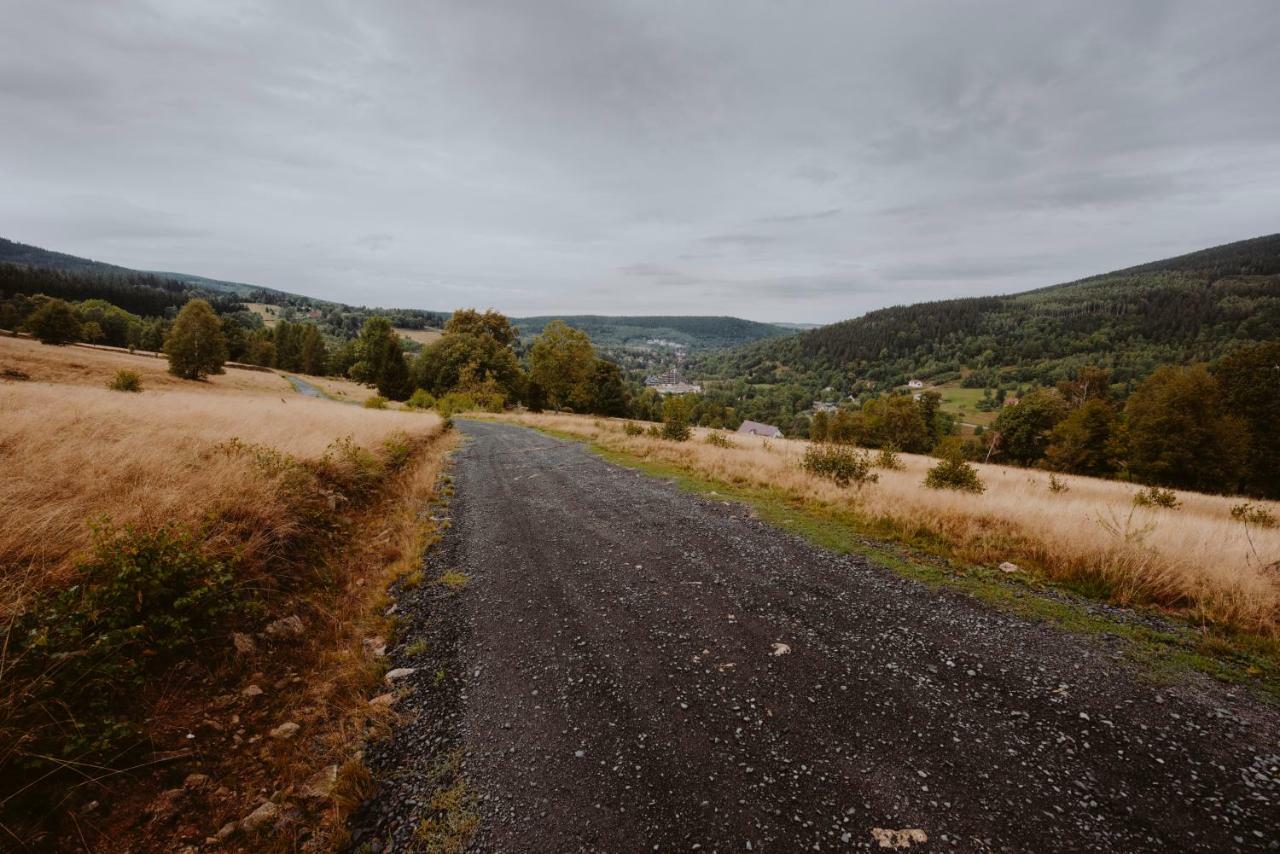 Willa Aleksander Panorama Świeradów-Zdrój Exteriör bild